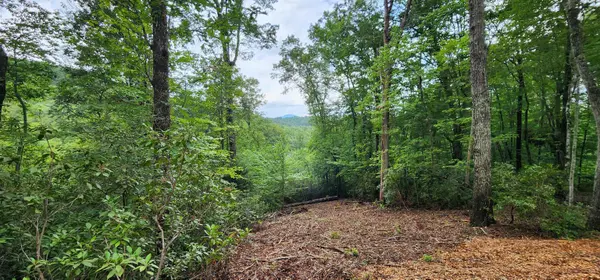 Lot 3 S Cross Creek TRL, Mill Spring, NC 28756