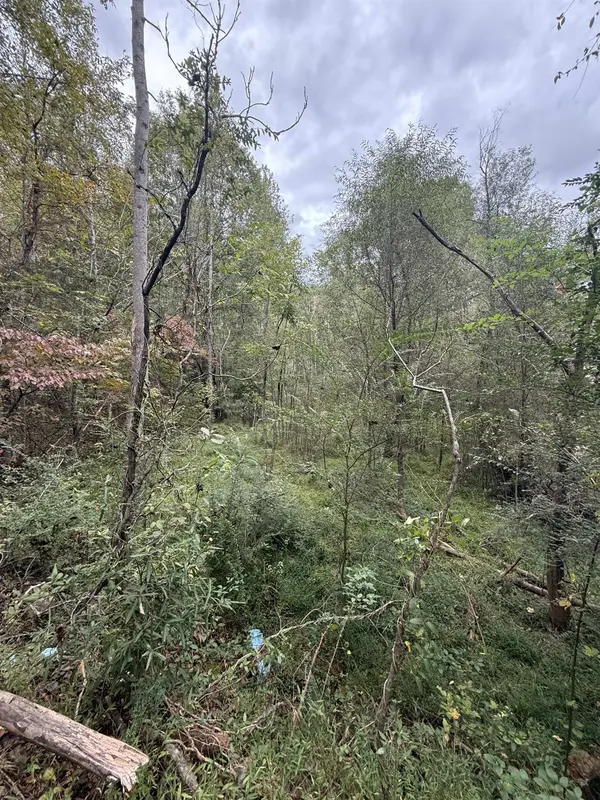 9000 U.S. 221 HWY, Woodruff, SC 29388