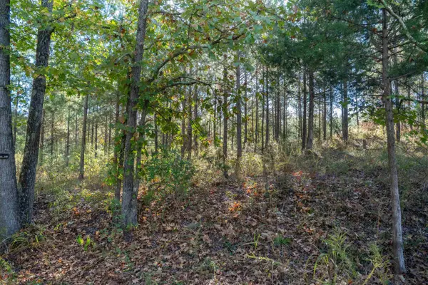 735 Gwinn Mill RD, Pauline, SC 29374