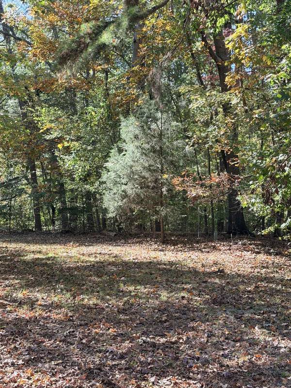 Lake Whelchel DR, Gaffney, SC 29341