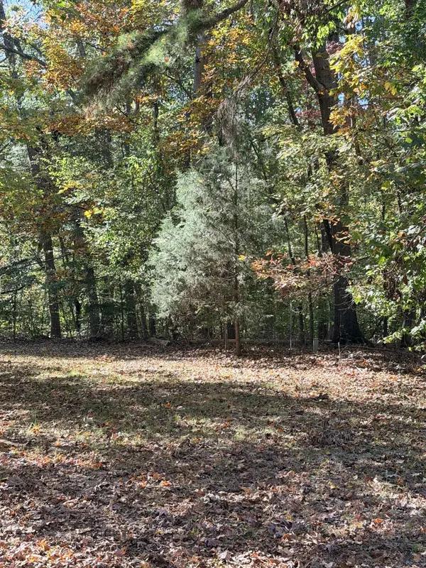 Lake Whelchel DR, Gaffney, SC 29341