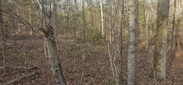 0 Bishop RD, Pauline, SC 29374