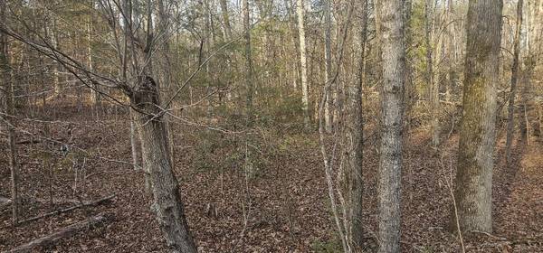 0 Bishop RD, Pauline, SC 29374
