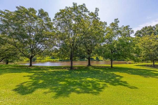 120 Rainey Mill RD, Campobello, SC 29322
