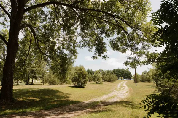 296 Nodine RD, Campobello, SC 29322