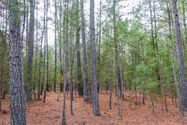 3062 Berry Farm Road, Carlisle, SC 29031