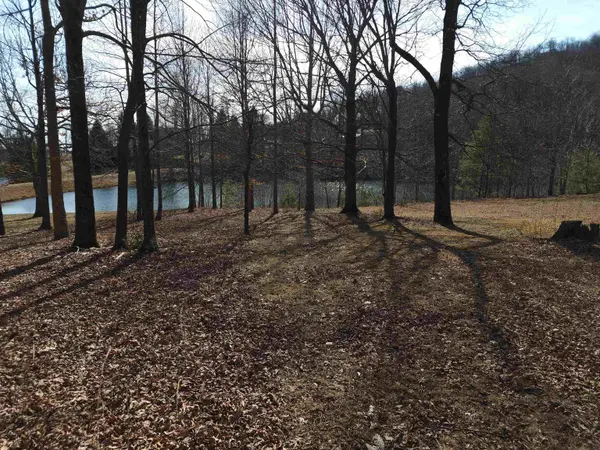 Lot 77 Serpentine DR, Columbus, NC 28722