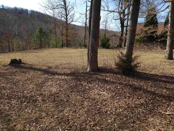 Lot 77 Serpentine DR, Columbus, NC 28722