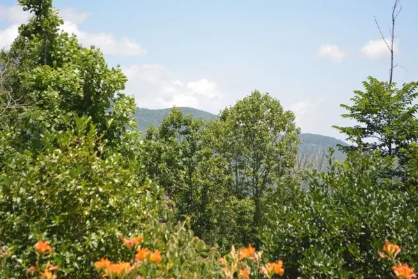 16 Windswept LN, Travelers Rest, SC 29690