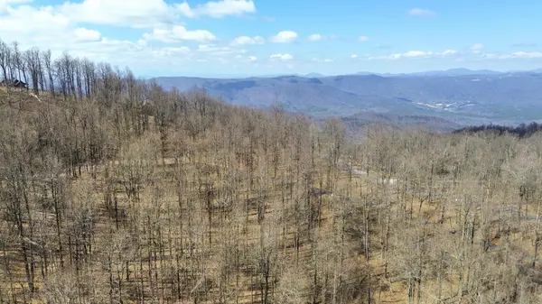 Lot 20 Sunset Ridge DR, Columbus, NC 28722