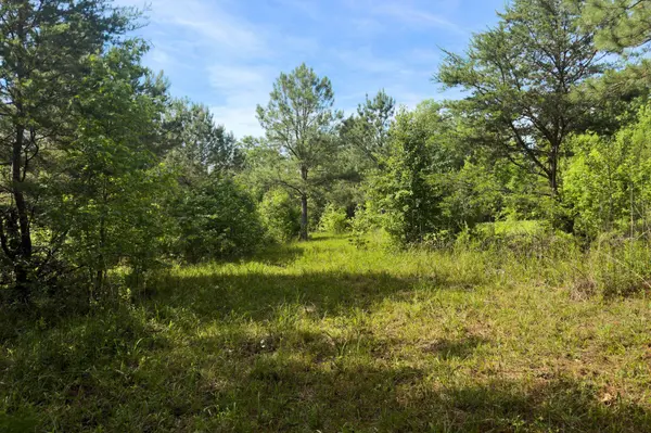 TBD Melvin Hill RD, Campobello, SC 29322