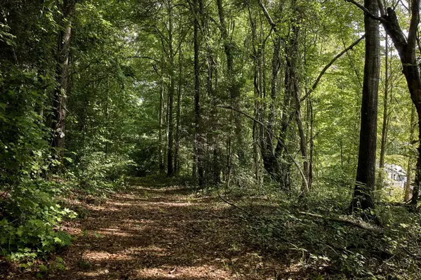 TBD Melvin Hill RD, Campobello, SC 29322