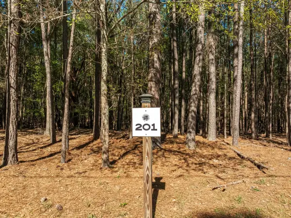 201 Peninsula DR, Prosperity, SC 29070