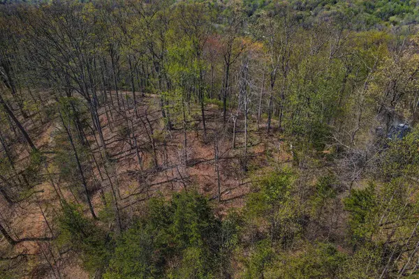 0 Ragans Point, Tryon, SC 28782