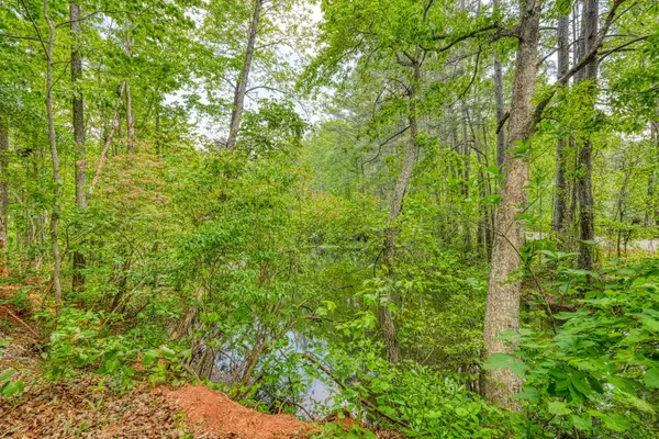 0 Motlow Creek RD, Campobello, SC 29322