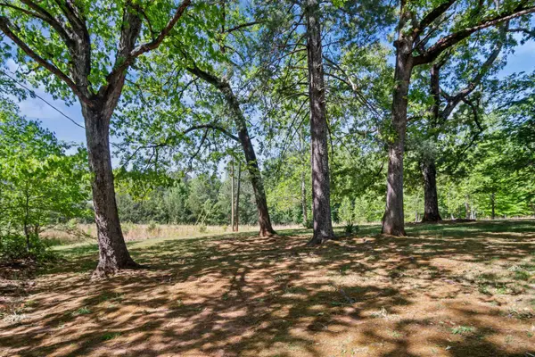 283 Constant LN, Columbus, NC 28722