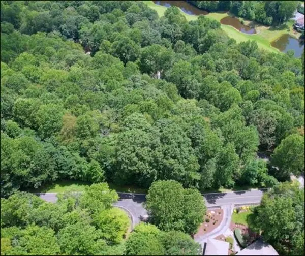 Lt 41 Snap Dragon WAY, Landrum, SC 29356-0000