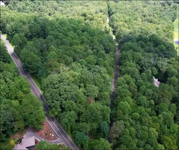 Lt 41 Snap Dragon WAY, Landrum, SC 29356-0000