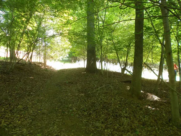 Lot 15,16 Cypress RD, Clover, SC 29710
