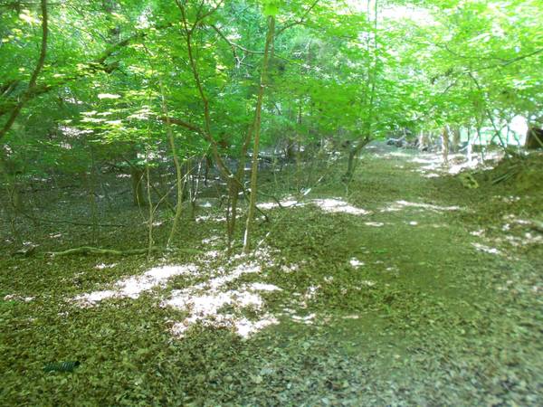 Lot 15,16 Cypress RD, Clover, SC 29710