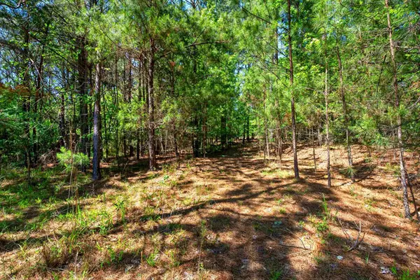 0 Gowdeysville RD, Gaffney, SC 29340