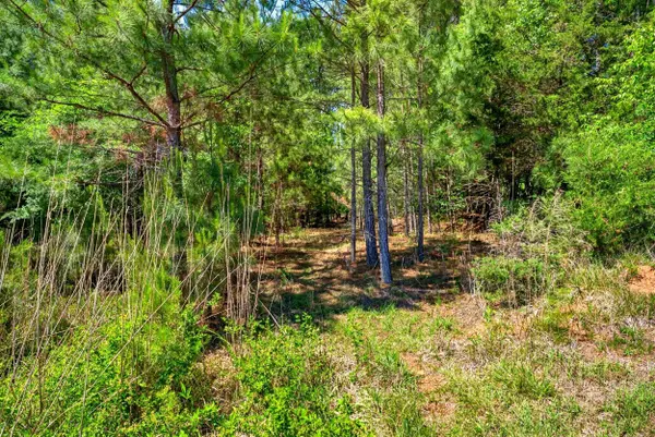 0 Gowdeysville RD, Gaffney, SC 29340