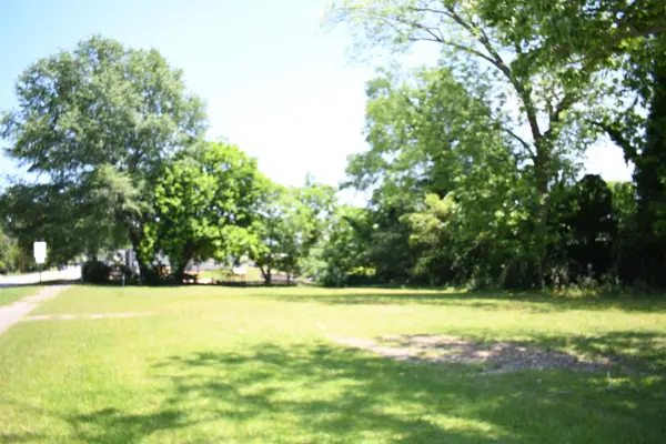 113 W Carolina ST, Blacksburg, SC 29702