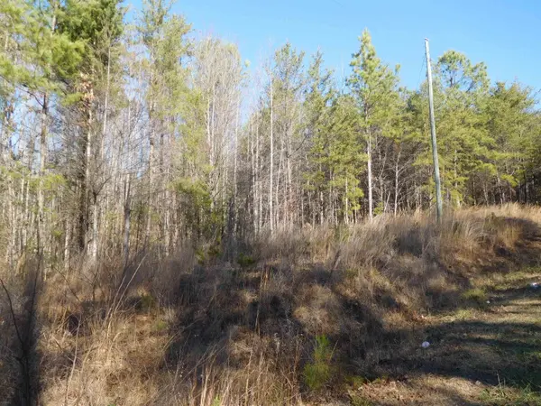 TBD Leadmine Rd RD, Gaffney, SC 29340