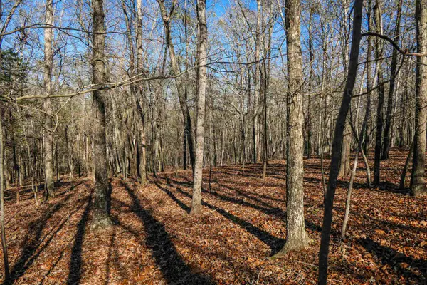 Old Clifton Village Rd, Spartanburg, SC 29307