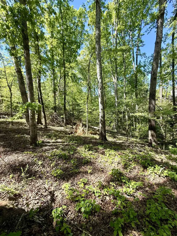 0 Thompson RD, Greer, SC 29651