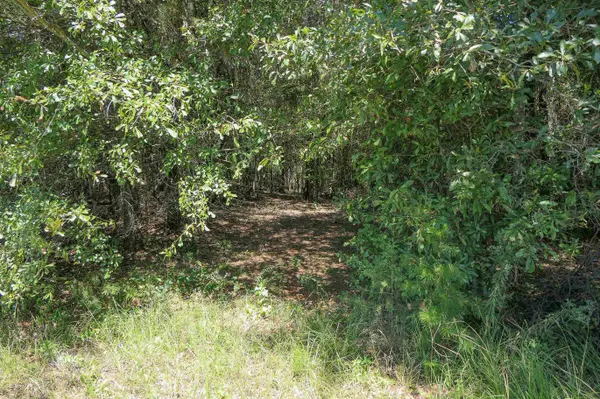Swofford Drive, Cowpens, SC 29330