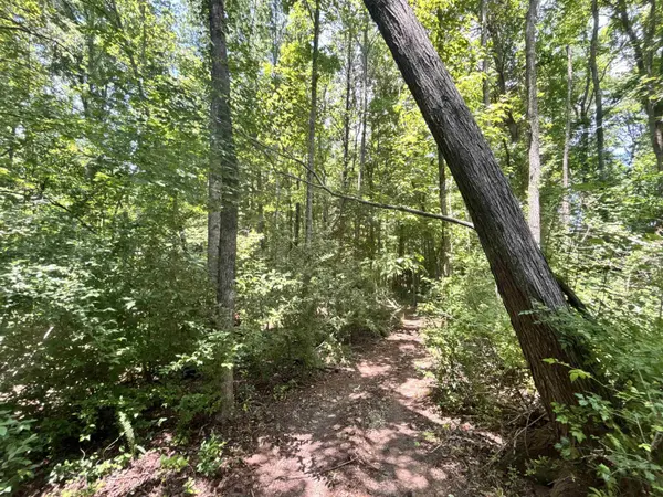 00 Borders RD, Blacksburg, SC 29702