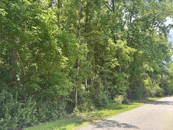 00 Borders RD, Blacksburg, SC 29702