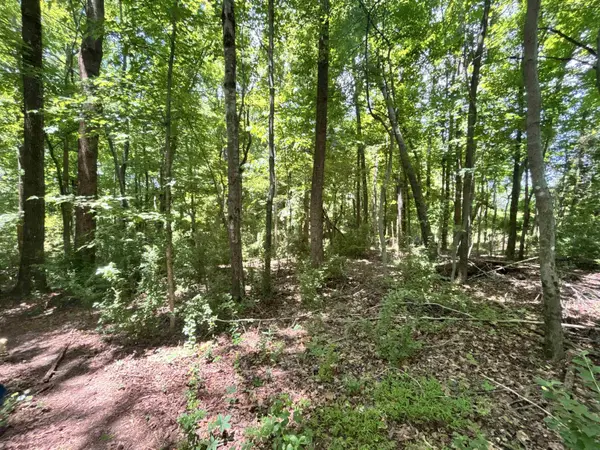 00 Borders RD, Blacksburg, SC 29702