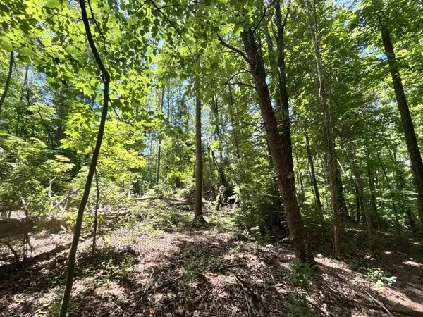 00 Borders RD, Blacksburg, SC 29702