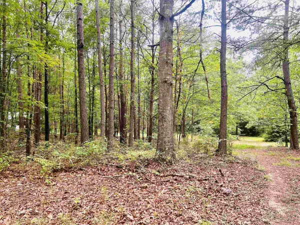 00 Asheville HWY, Campobello, SC 29322