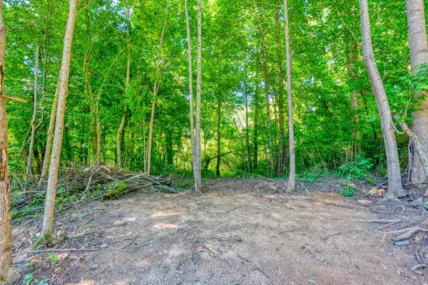 00 Thompson RD, Fountain Inn, SC 29644