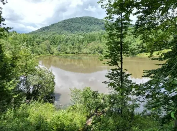 105 Right Fork Rd, Pickens, SC 29671