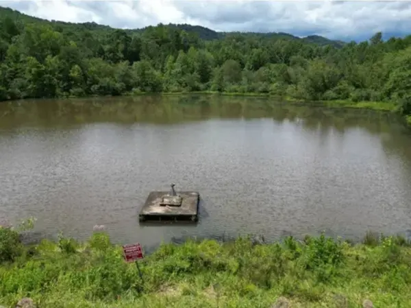 105 Right Fork Rd, Pickens, SC 29671