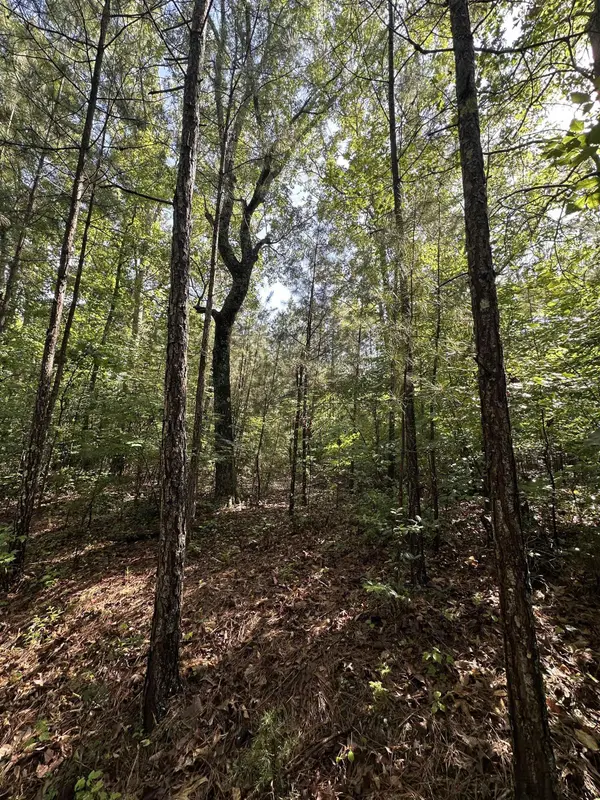 Old Buncombe RD, Union, SC 29379