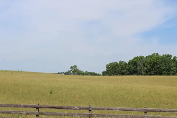 Lot 7 Ted Smith RD, Rutherfordton, NC 28139
