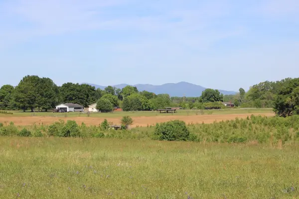 Lot 4 Ted Smith RD, Rutherfordton, NC 28139