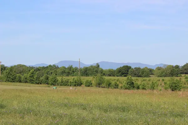 Lot 3 Ted Smith RD, Rutherfordton, NC 28139