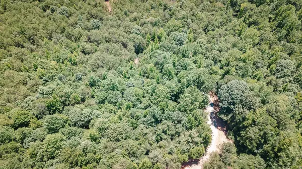 2109 Tract B Riddle RD, Pauline, SC 29374