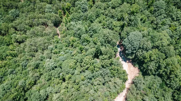 2109 Tract B Riddle RD, Pauline, SC 29374