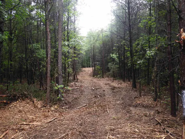 2109 Tract D Riddle RD, Pauline, SC 29374