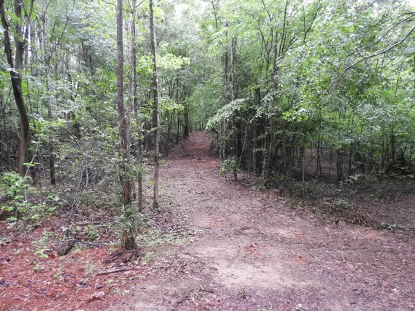 2109 Tract D Riddle RD, Pauline, SC 29374