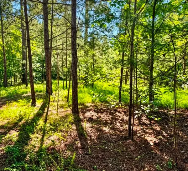 406 Terrapin Pointe RD, Hodges, SC 29563