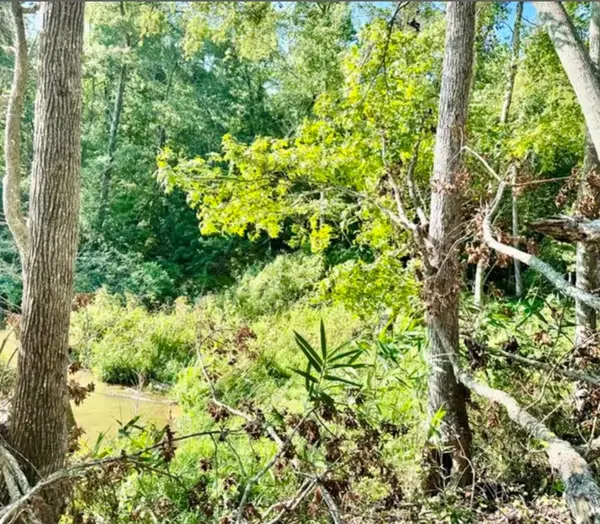 406 Terrapin Pointe RD, Hodges, SC 29563