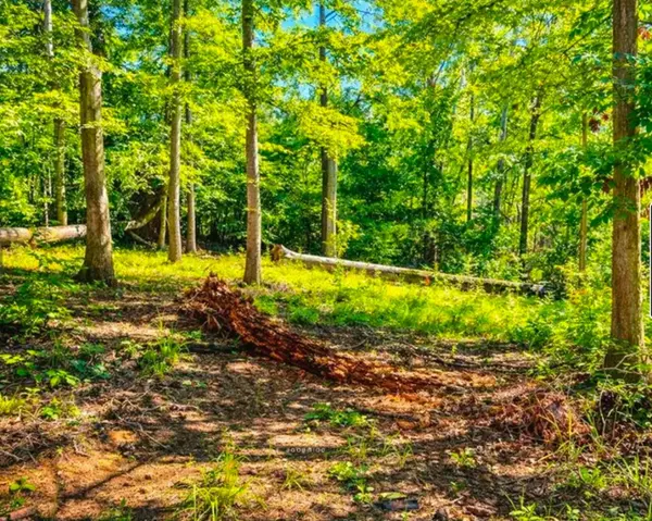 406 Terrapin Pointe RD, Hodges, SC 29563